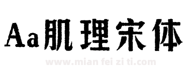 Aa肌理宋体下载