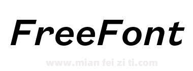 Founders Grotesk Text Medium Italic下载