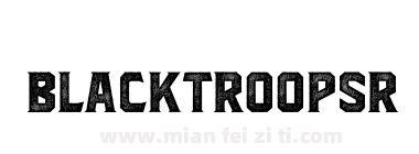 Blacktroops Rough下载