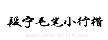 段宁毛笔小行楷下载