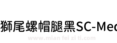 獅尾螺帽腿黑SC-Medium下载