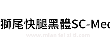 獅尾快腿黑體SC-Medium