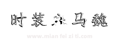 时装斑马魏下载