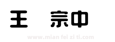 王汉宗中圆艺下载