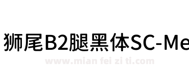 狮尾B2腿黑体SC-Medium下载