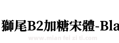 獅尾B2加糖宋體-Black下载