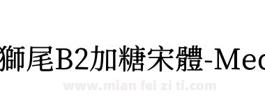 獅尾B2加糖宋體-Medium下载
