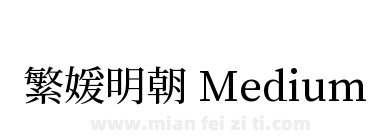 繁媛明朝 Medium下载