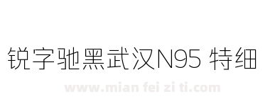 锐字驰黑武汉N95 特细下载