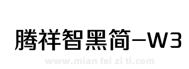 腾祥智黑简-W3下载