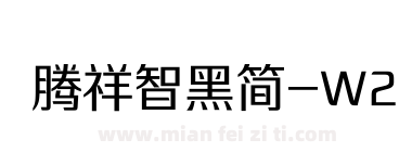 腾祥智黑简-W2下载