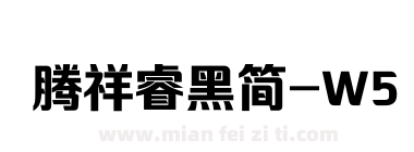 腾祥睿黑简-W5下载
