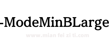 FOT Mode MinB Large Std B下载