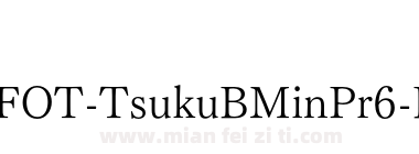 FOT TsukuB Min Pr6 L下载