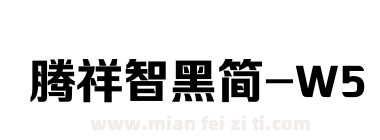 腾祥智黑简-W5下载