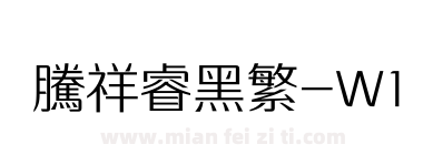 腾祥睿黑繁-W1下载