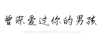 曾深爱过你的男孩下载