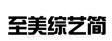 至美综艺简下载