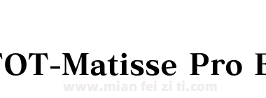 FOT-Matisse Pro EB