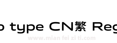 vivo type CN繁 Regular下载