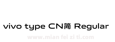 vivo type CN简 Regular