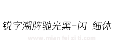 锐字潮牌驰光黑-闪 细体