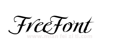Scriptissimo Forte Start PDF下载