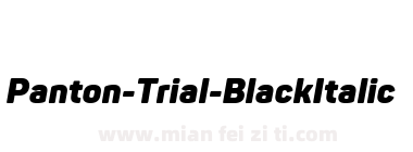 Panton-Trial-BlackItalic