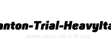Panton-Trial-HeavyItalic