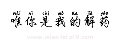 唯你是我的解药下载