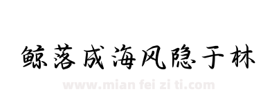 鲸落成海风隐于林下载