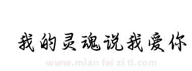我的灵魂说我爱你下载