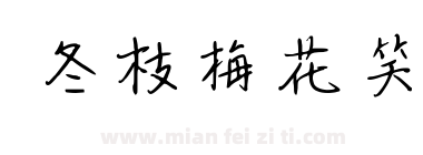 冬枝梅花笑下载
