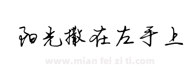 阳光撒在左手上下载