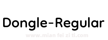 Dongle-Regular