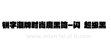 锐字潮牌时尚魔黑简-闪 超级黑