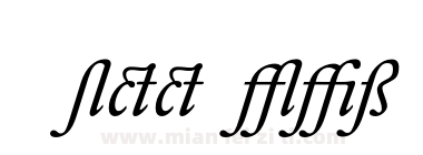 DTL ElzevirT Book Alternate Italic下载