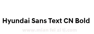 Hyundai Sans Text CN Bold