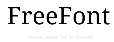 Noto Serif Tamil Italic下载