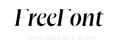 FH Total Fine Test Regular Italic