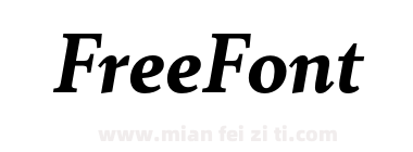 Senlot Serif Norm Black Italic下载
