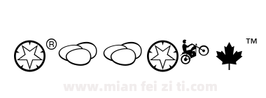 PI Xymbols Dingbats Italic下载