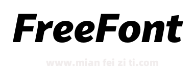 FSP DEMO Van Sans Extra Bold Italic下载