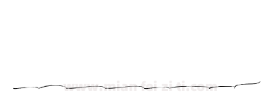 Bidaq Brush Extras下载