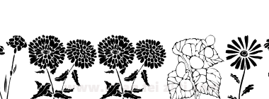 DT Flowers 1下载