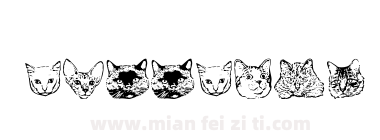 猫1下载