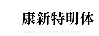 华康新特明体下载