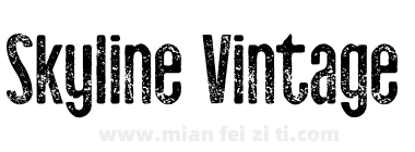 Skyline Vintage下载
