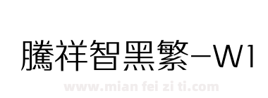 腾祥智黑繁-W1下载