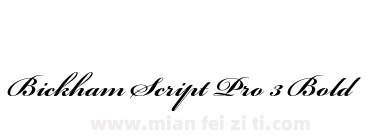 Bickham Script Pro 3 Bold下载